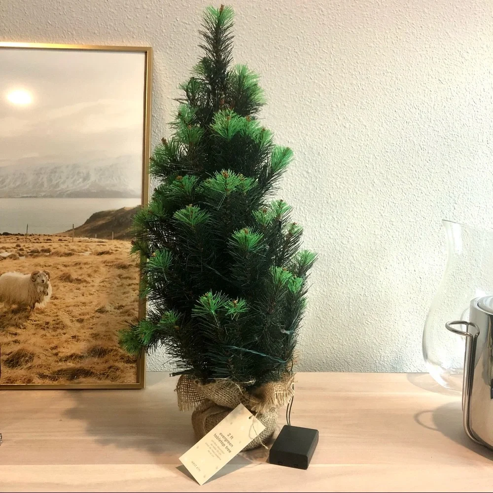 west elm Light Up Evergreen Tabletop Tree 2ft